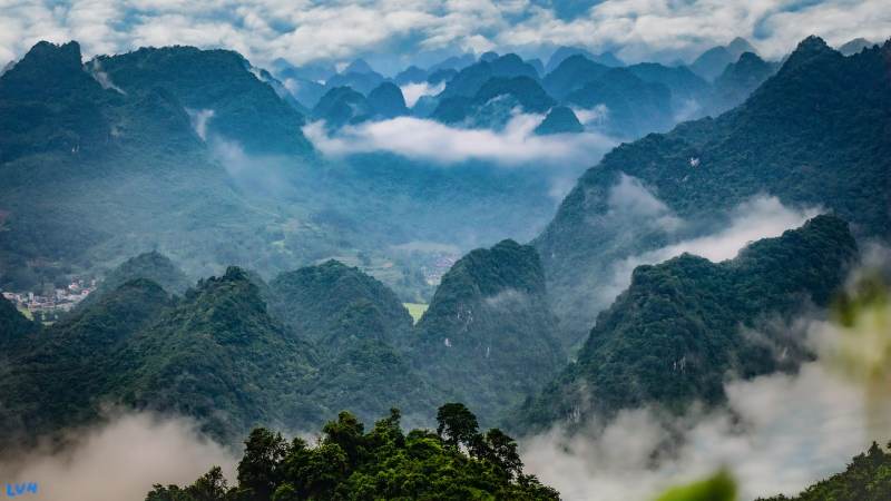 YY体育集团是什么来头?一文说清它的业务范围与行业定位